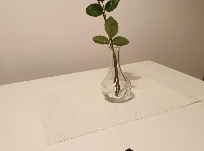 住宿加早餐酒店 'novecento 4*